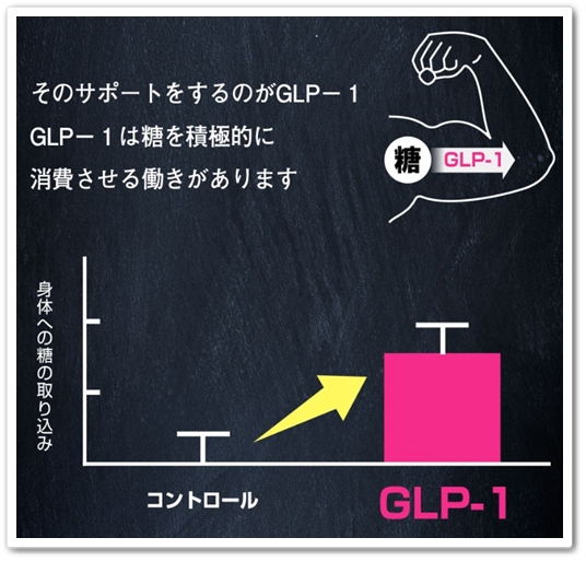 シュガリミット 口コミ 効果 糖質活用 ダイエットサプリメント Sugalimit しゅがりみっと 痩せない GLP-1